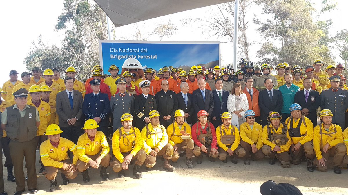 conaf_minagri's tweet photo. En la ceremonia por el Día del #BrigadistaForestal reconocemos a las brigadas de @BomberosdeChile, @cormachile, @Ejercito_Chile, @Armada_Chile, @parquemetminvu y nuestros brigadistas. Gracias por proteger a nuestra gente, sus viviendas, flora y fauna nativa de Chile. ❤ https://t.co/a3uLHmFD0F