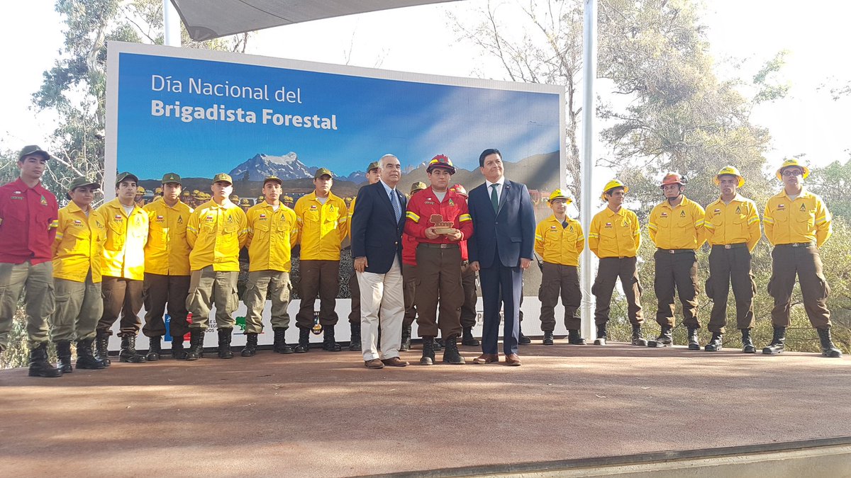 conaf_minagri's tweet photo. En la ceremonia por el Día del #BrigadistaForestal reconocemos a las brigadas de @BomberosdeChile, @cormachile, @Ejercito_Chile, @Armada_Chile, @parquemetminvu y nuestros brigadistas. Gracias por proteger a nuestra gente, sus viviendas, flora y fauna nativa de Chile. ❤ https://t.co/a3uLHmFD0F