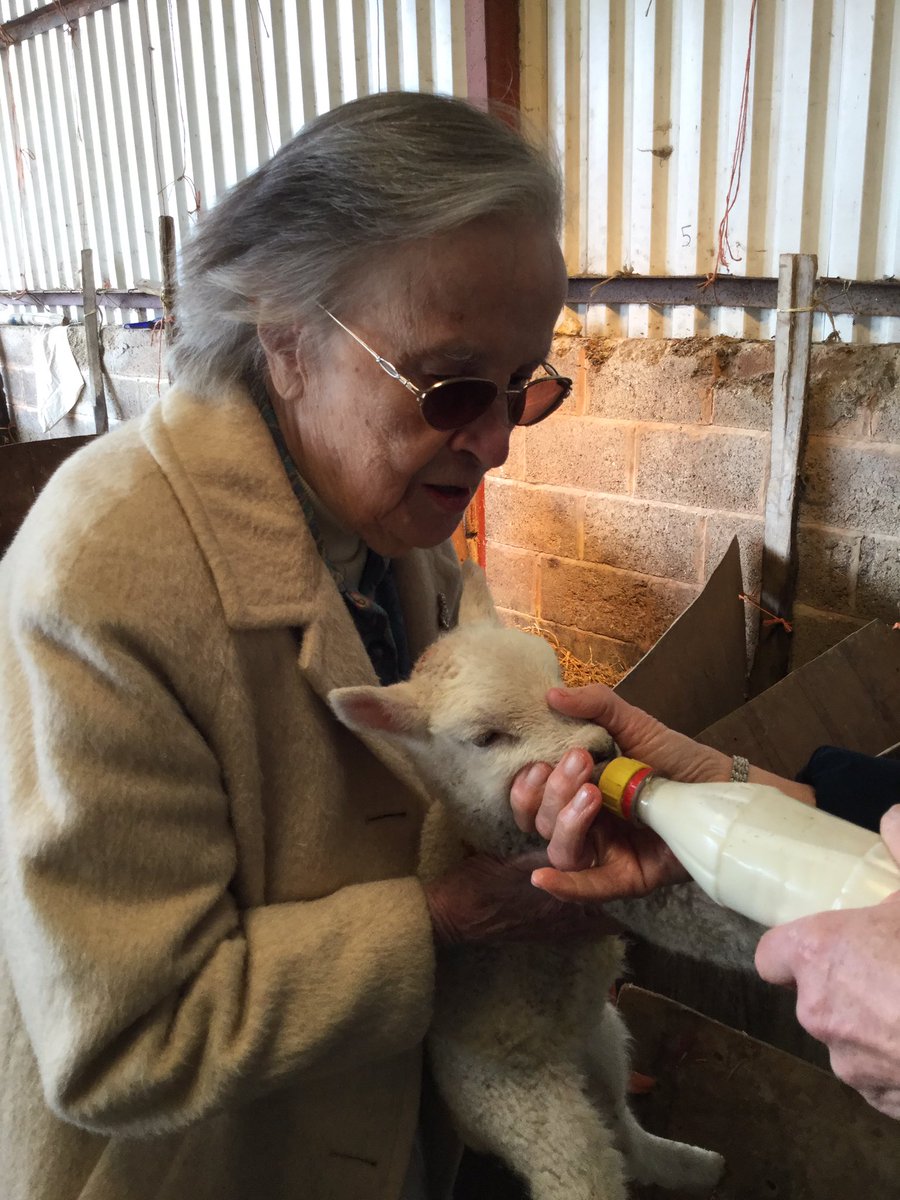 PFSMilward's tweet image. Lambing visit to Buggs Farm Capel #tunbridgewells #dementia #carehome #respite #westkent