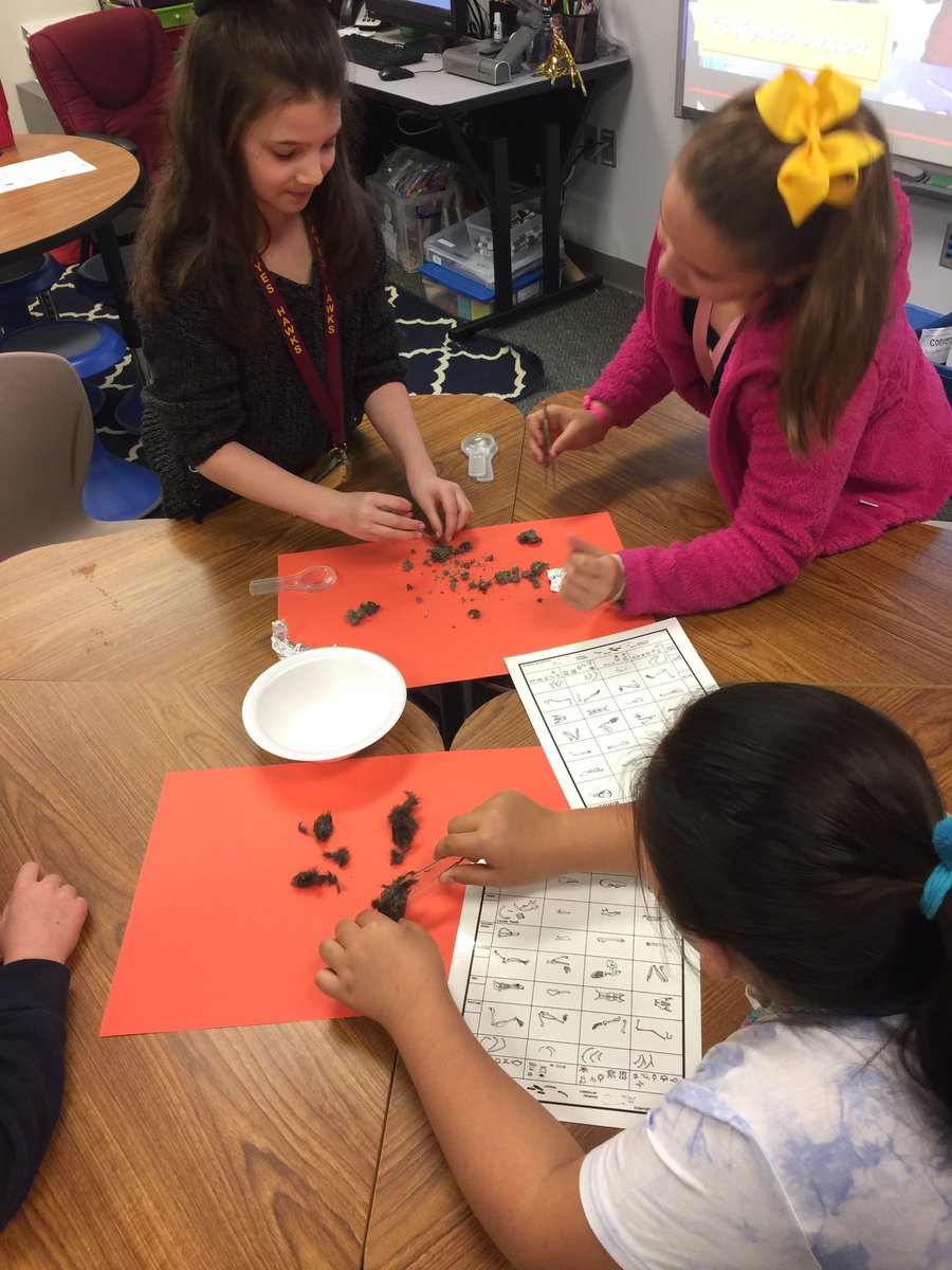 Dissecting owl pellets!! Who knew there would be so many smiling faces pulling out rodent bones!! <a href="/HayesHawks/">Jeanette Hayes Elem</a> #BeTheLegacy #sciencerocks