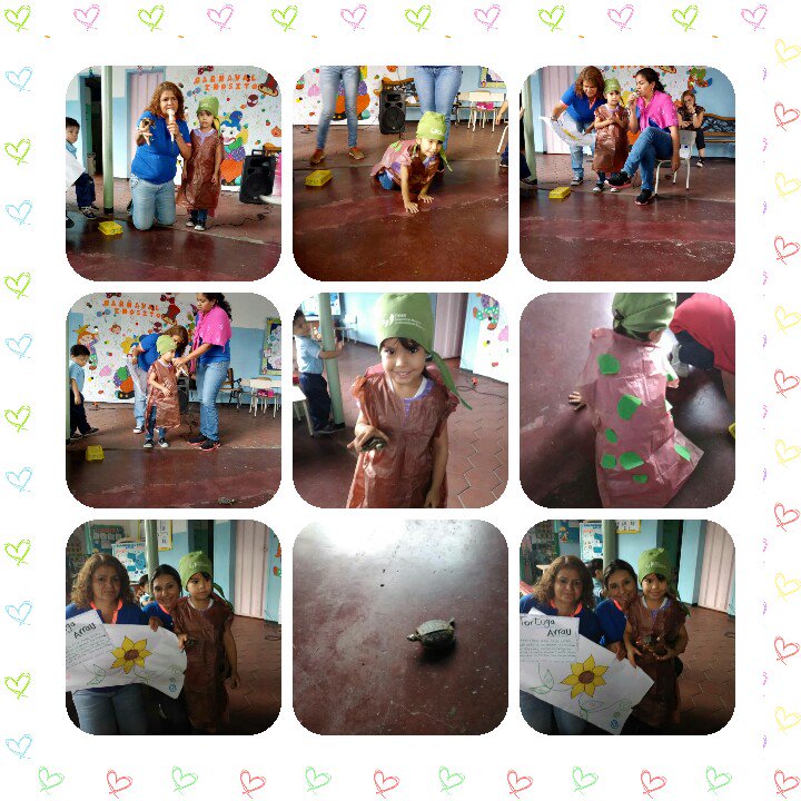 CEI INOSITO CELEBRA DIA DE LA TORTUGA ARRAU CONCIENCIA ECOSOCIALISTA