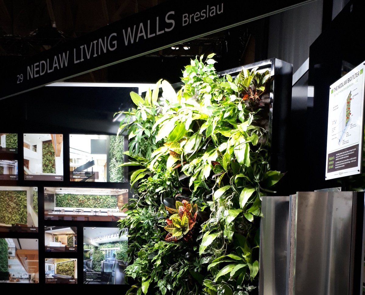Nedlaw Living Walls tweet media