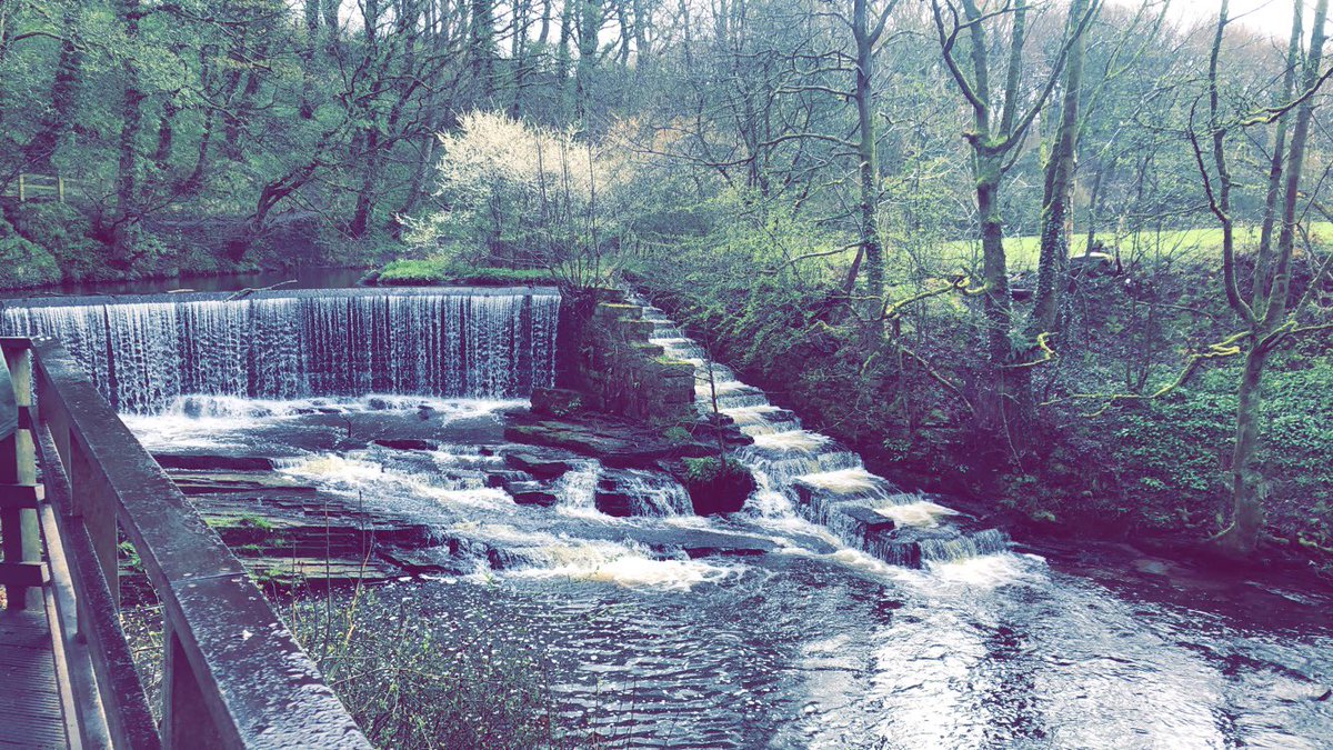 EdenSchool_JD's tweet photo. Another great day with the second half of our KS3 here at @The_Eden_School with a lovely nature walk! 🍂🍁⛰ https://t.co/HSEfP7Pnmz