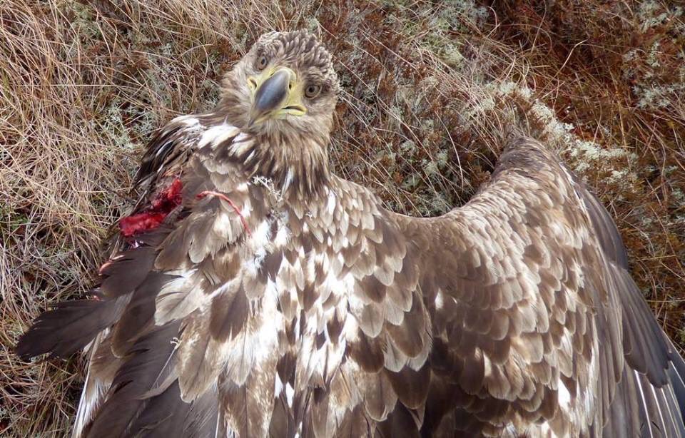 Frozen 🎗️ 📎 tweet media