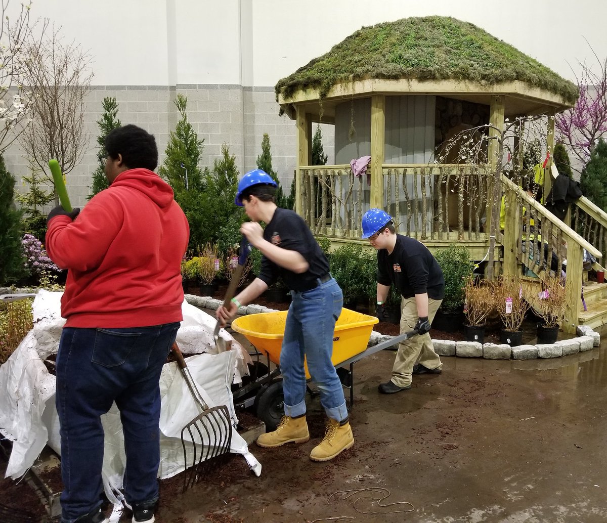 Michael Shunney tweet media