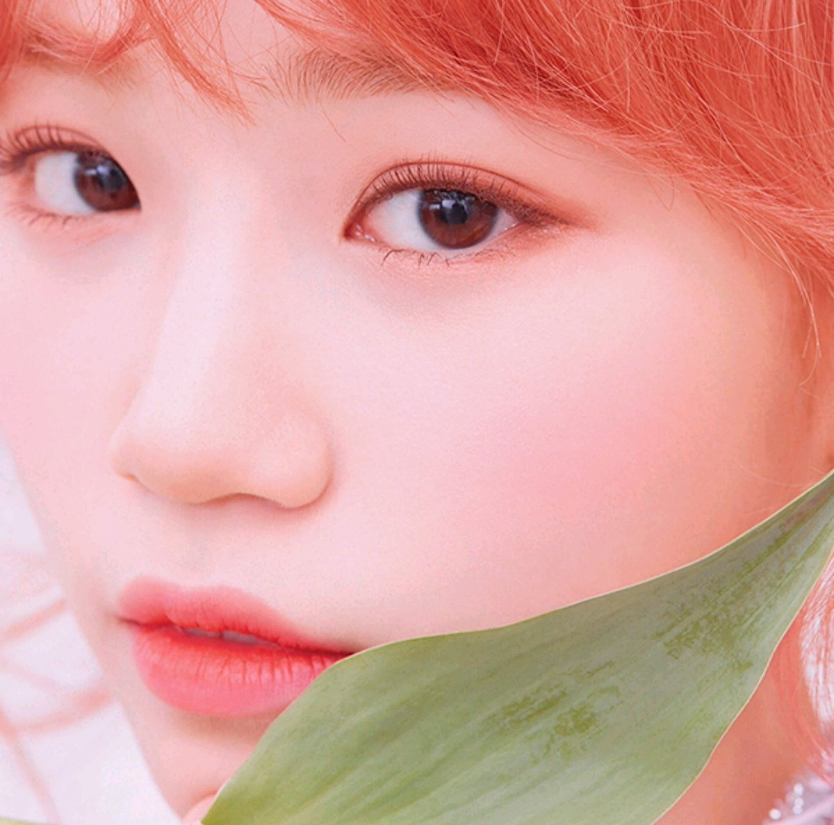 Kim ChaeWon France (@ChaewonFrance) / Posts / X