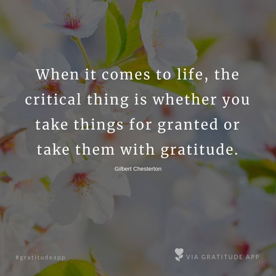 LifeAdvancer's tweet photo. Just Pinned to Quotes about Life: "When it comes to life, the critical thing is whether you take things for granted or take them with gratitude." - Gilbert Chesterton Choose to Express Gratitude 🌷 #gratitudeapp #gratitudequotes #life #love #happyth… https://t.co/iTCgtXNSDx https://t.co/4dnK7NmksT