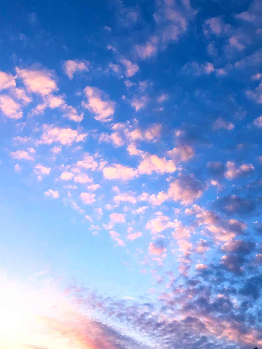 ピンク色の雲 ピンク色の雲