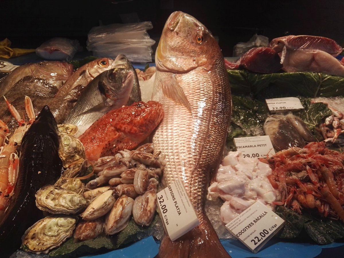 Joyería. <a href="/peixosfrederic/">Peixos Frederic</a> 
Un luxe !!!