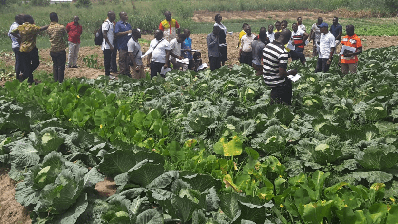 HortifreshWA's tweet photo. Crop Protection, Adult Learning Sessions held in Kumasi for Agriculture Extension Agents and Agriculture College Tutors https://t.co/nJC7eueOvt https://t.co/eLcVo5wcKq