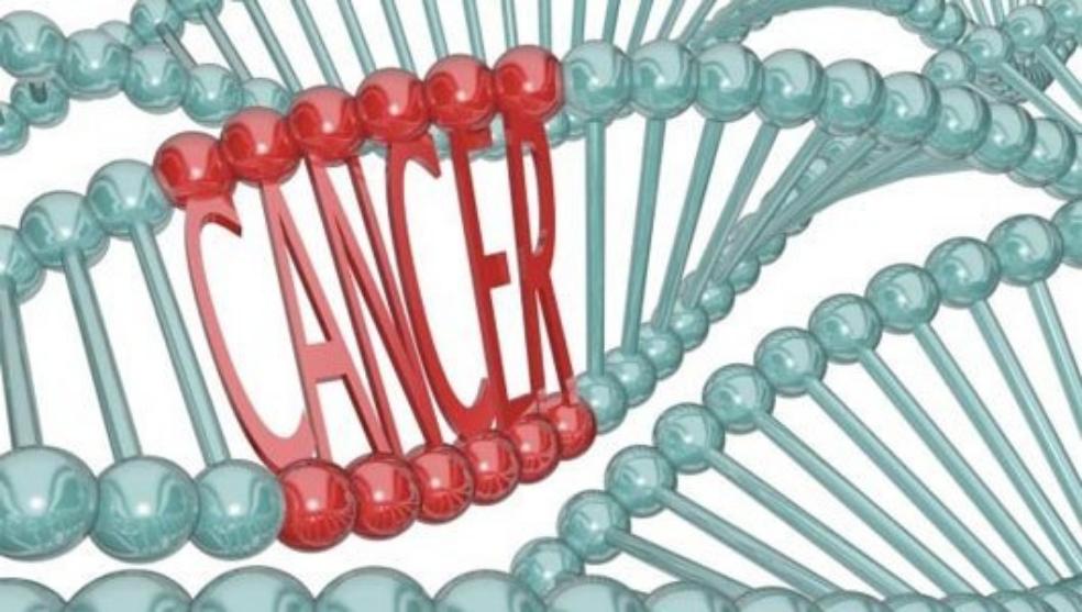 RonnyAllan1's tweet photo. Genetics and Neuroendocrine Tumors #NeuroendocrineCancer @netcancerblog  https://t.co/kMS0D2JoOj https://t.co/MduTiH8Fh4