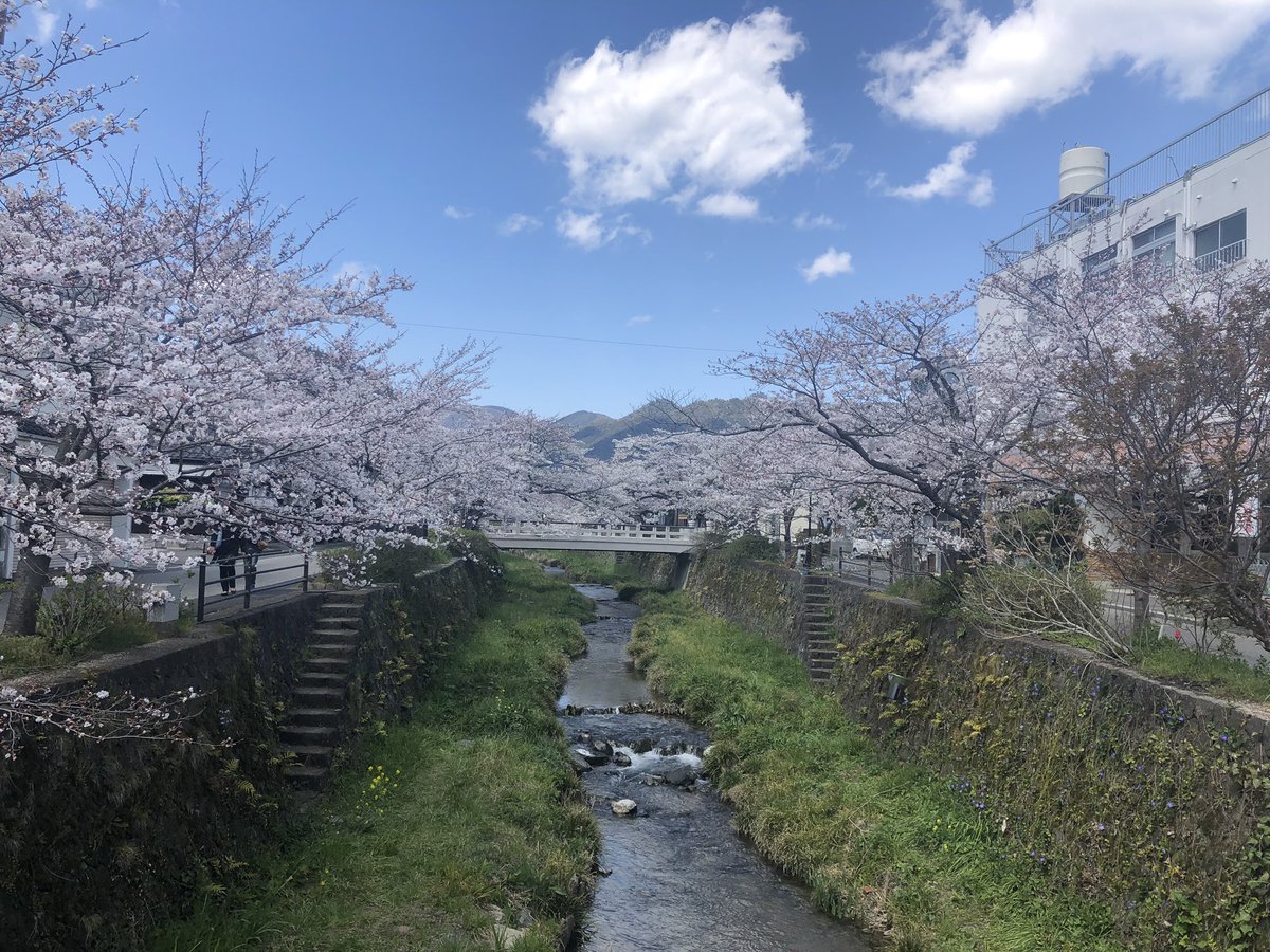 かんた tweet media