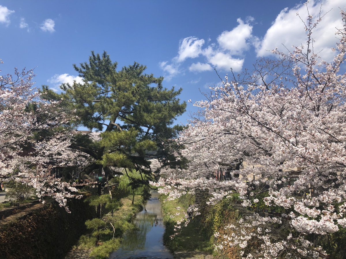 かんた tweet media