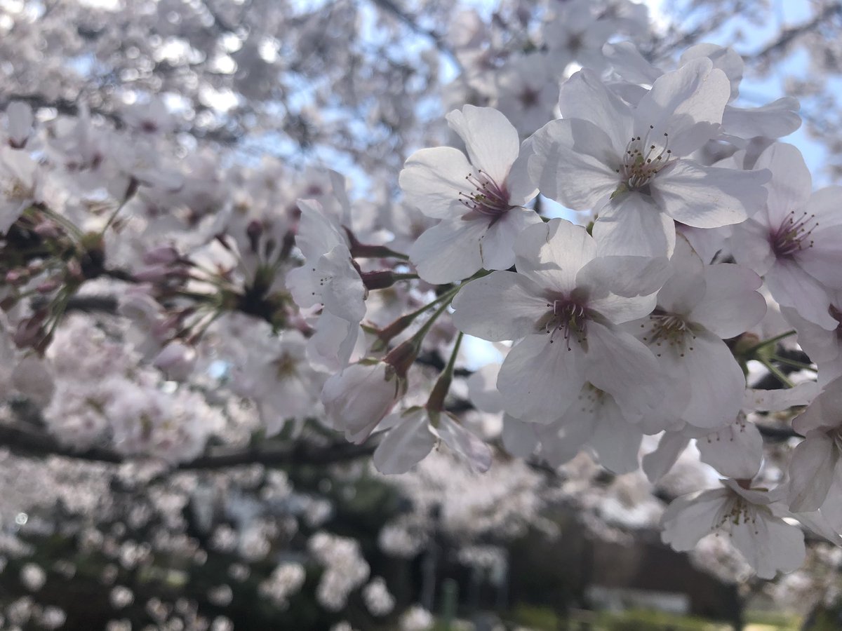 かんた tweet media