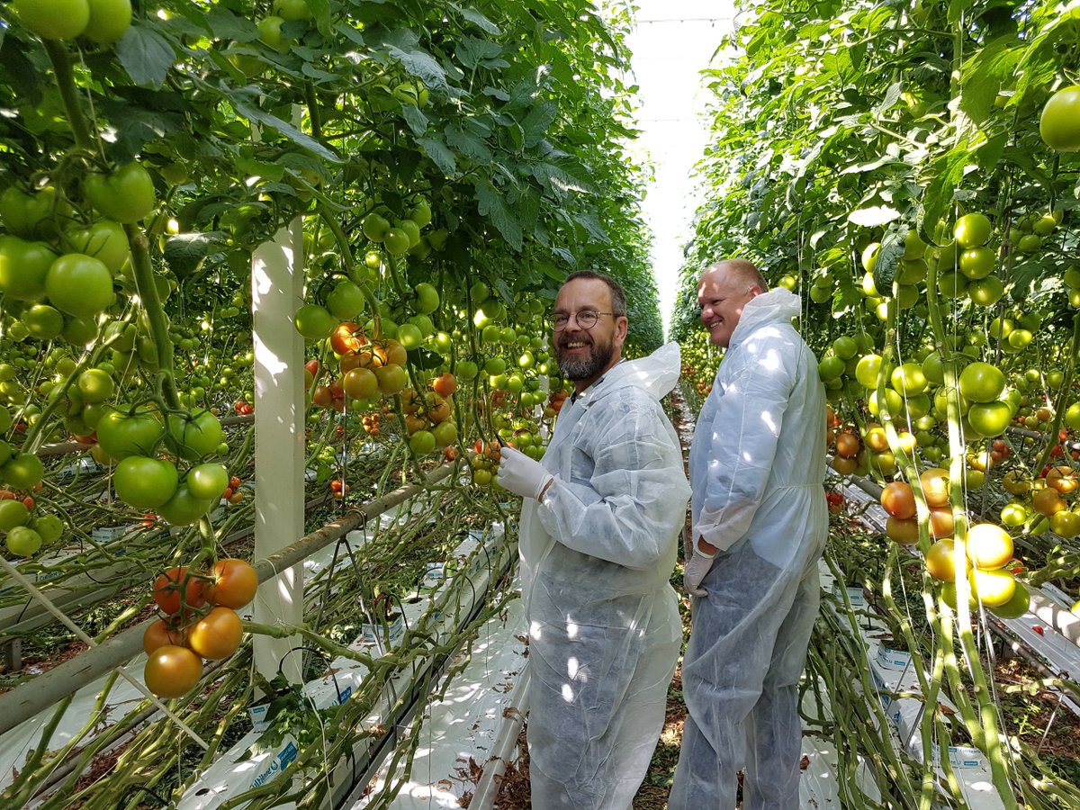 Did you know about a biodegradable PLA yarn that can be used in horticulture? Or the developments in green hydrogen that will be used for renewable methanol. Stay informed by reading our newsletter. bit.ly/2YP6mGj #chemistry