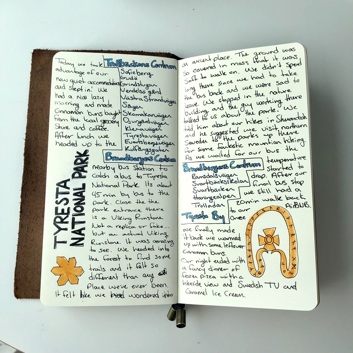 Samizabeth's tweet photo. Walked around a primeval forest and saw a legit Viking runestone! 
.
.
#samscribbles #traveljournal #travelphotography #art #journal #illustration #travel #photography #artist #sweden #stockholm #tyrestanationalpark https://t.co/yps1auW6Wf