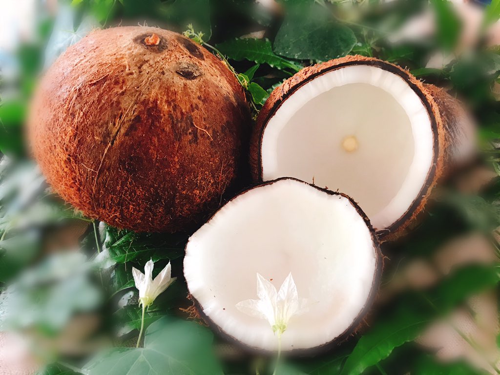 @processed coconut (@mooaom45769) on Twitter photo 