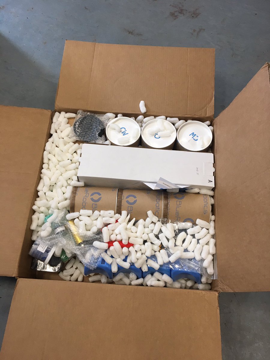 Dr Alice Hall tweet media