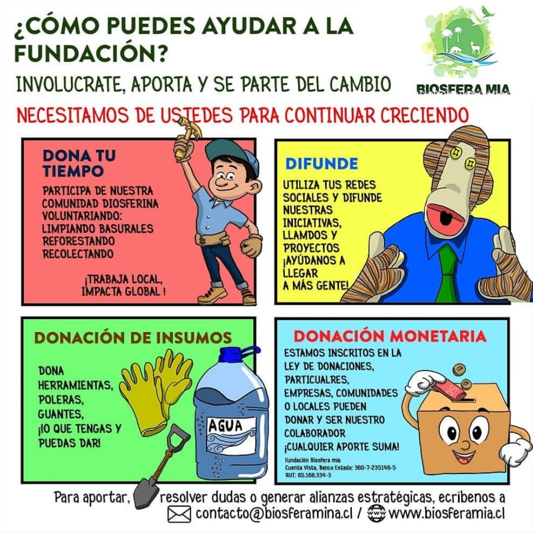 biosferamia's tweet photo. #FelizMiercoles para todos y todas. Nosotros estamos muy felices por cada día somos más. Tu puedes ser parte del apoyo de #5colillaschallenge ¿cómo? Más info en nuestra infografia desarrollada por @kimelfememo https://t.co/z8LMsIZ0Eq
