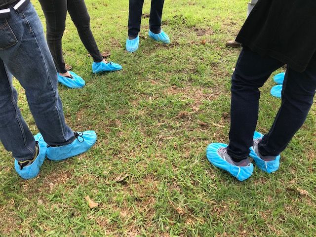 biosecurity boot covers