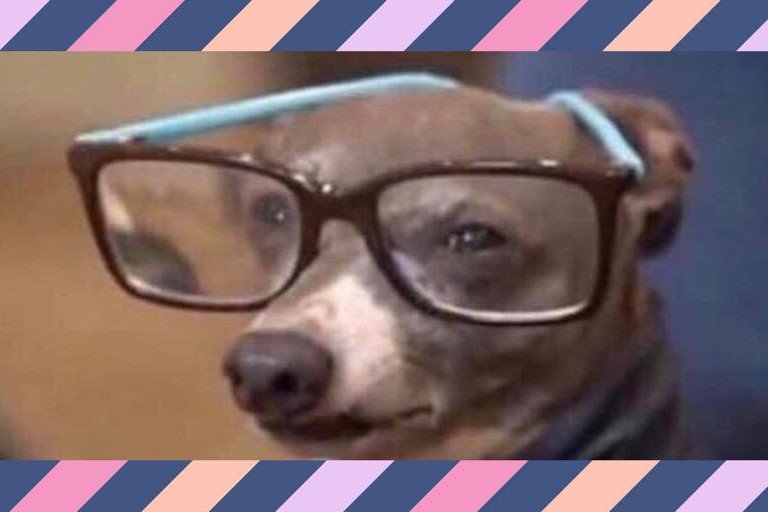 nandagamesWIT's tweet photo. Me in the library pretending I know what I'm doing 😂👓 https://t.co/KsakJqwUow
