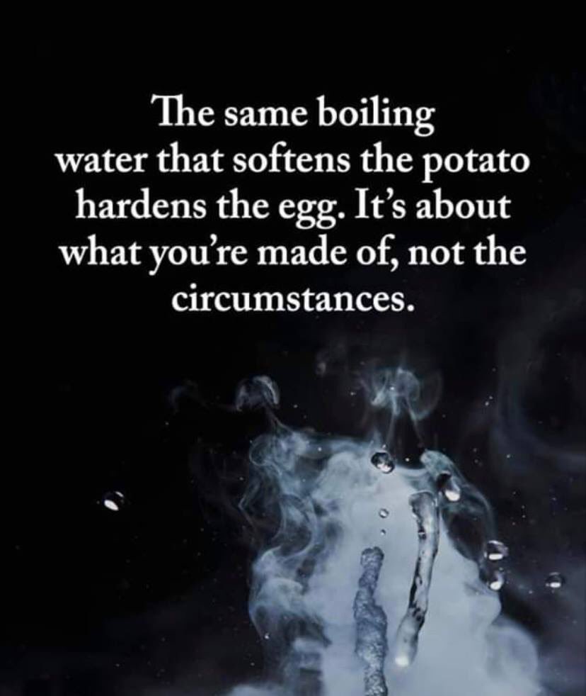 Shilo Kistler tweet media