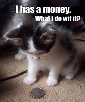 SassyLeSallay's tweet image. If you don’t know either you can always donate at gooddler.net/lesalley/ to allow more human kittens from diverse backgrounds to attend Le Sallay with the Gooddler Endowment Scolarship

#lesallayacademy #gooddler #scolarship #donate