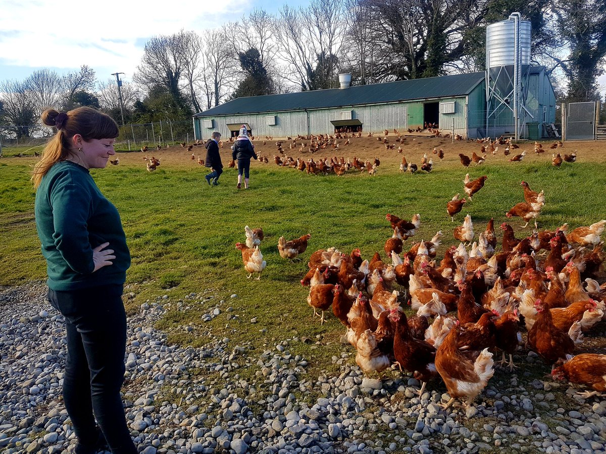 butlersorganics's tweet photo. We were delighted to welcome Aoife Hammond, manager of @DublinFoodCoop for a tour of our organic farm. Our ladies were very curious when she arrived. #butlersorganiceggs #happyhens #organicfeed #organicpastures #loadsofspaceindoors #andoutdoors #nochemicals https://t.co/WKynKEiLih