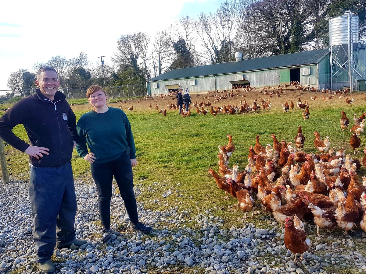 butlersorganics's tweet photo. We were delighted to welcome Aoife Hammond, manager of @DublinFoodCoop for a tour of our organic farm. Our ladies were very curious when she arrived. #butlersorganiceggs #happyhens #organicfeed #organicpastures #loadsofspaceindoors #andoutdoors #nochemicals https://t.co/WKynKEiLih