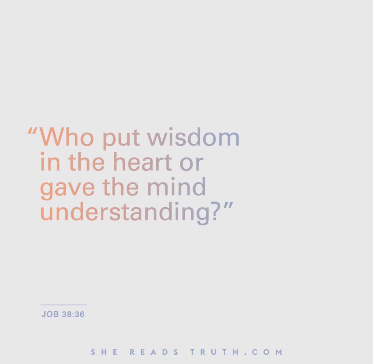 lmgarrett11's tweet photo. I trust God so much that I do not doubt he will provide whatever I need for body and soul, and will turn to my good whatever adversity he sends upon me in this sad world. 
excerpt from Heidelberg Catechism https://t.co/4kynta4q2G