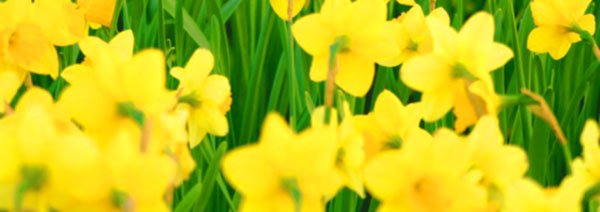 JMoonNorfolk's tweet photo. Spring is here! Sit and enjoy the garden with a new Conservatory or Garden Room from J Moon. 
#gardening #Conservatory #ConservatorySpecialists #BespokeConservatory #TrustedTrader 
https://t.co/qV3yhIJSXN https://t.co/3hTgYoz2JX https://t.co/eoCtP7KcKF