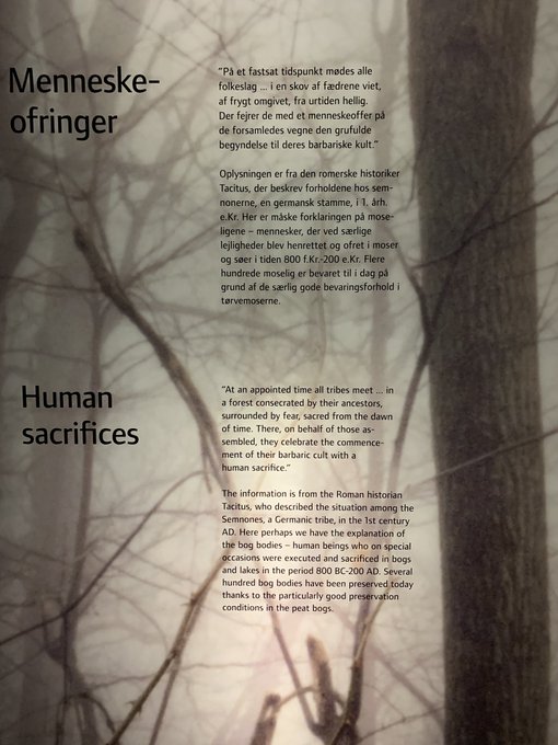 Oooooh bog bodies and human sacrifices! https://t.co/9oQr0tM6v6