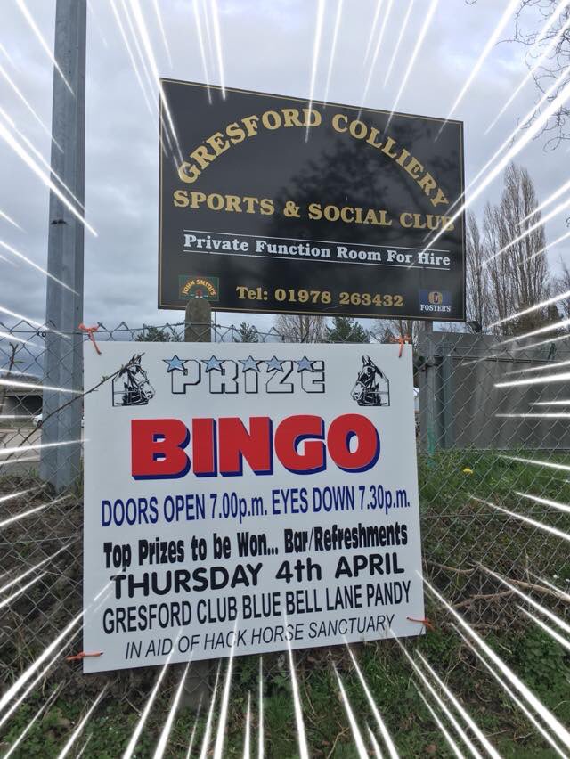 Tomorrow evening! Please RT and support the HACK Horse sanctuary <a href="/RobWalshLlay/">Cllr Rob Walsh</a>  <a href="/uocequestrian/">University of Chester Equestrian</a> <a href="/leaderlive/">LeaderLive</a> <a href="/VetsWithHP/">VetsWithHorsePower</a> #charity #wrexham #NorthWales