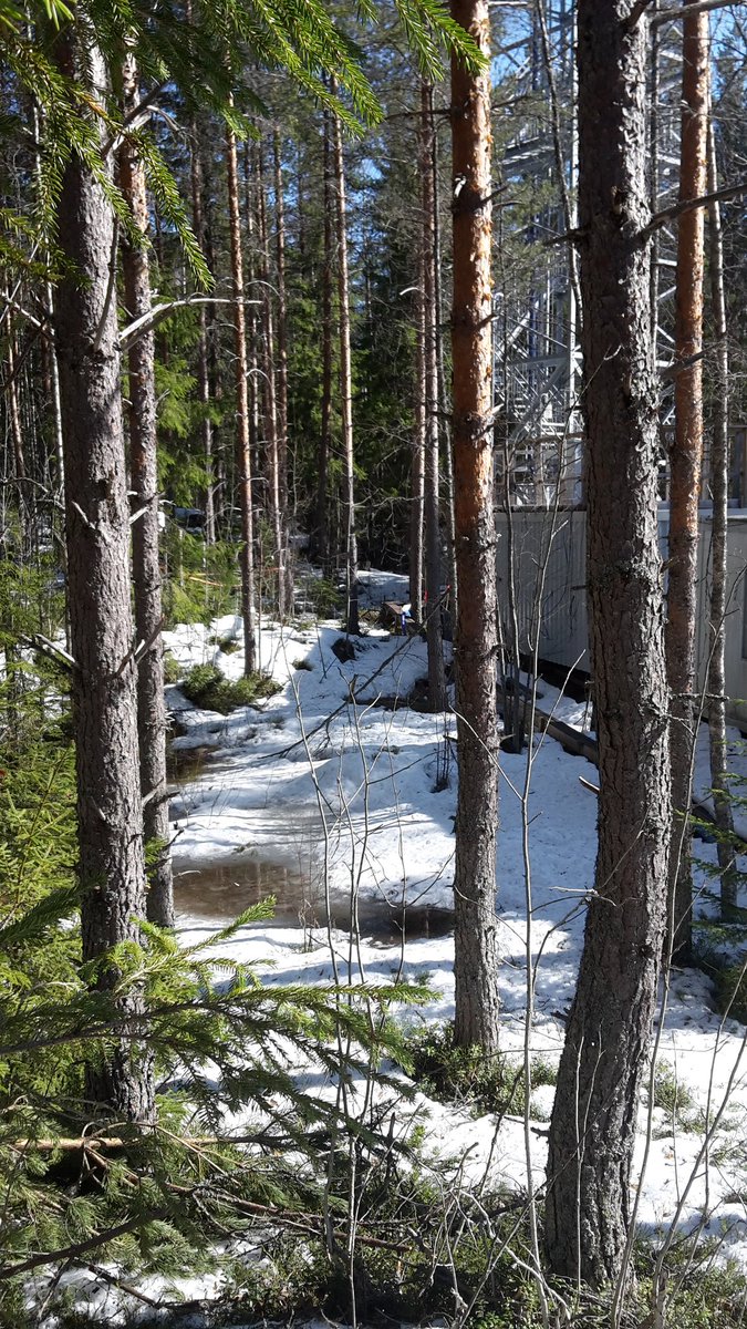 arnaudpraplan's tweet photo. Start of this year's campaign in @HyytialaHY with gorgeous weather! Does this melting snow provide #OHreactivity peaks? #VOCs #BVOCs #OVOCs #GCMS @IlmaTiede @heidiphellen https://t.co/PAxEdHgYrA