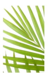 St. Andrew's Church Farnham tweet media