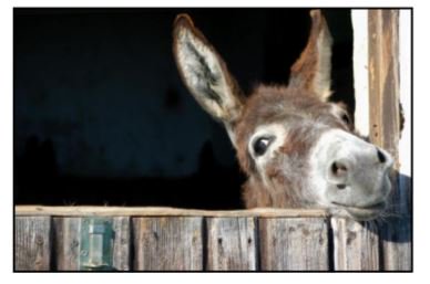 St. Andrew's Church Farnham tweet media