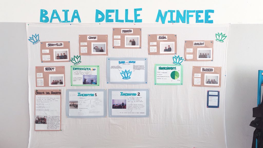 Baia delle Ninfee tweet media