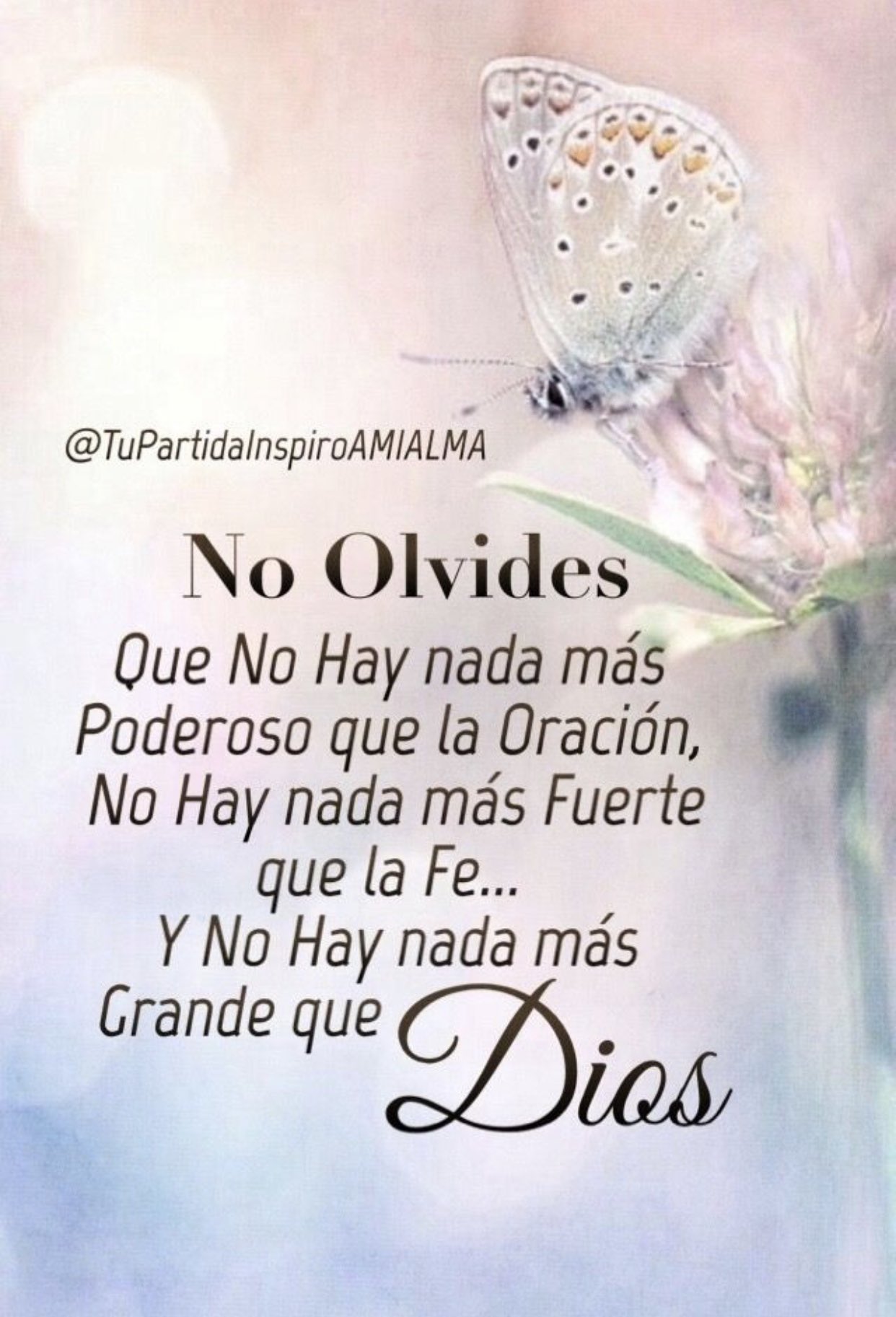 Ojos Bonitos Auf Twitter Buenos Dias Feliz Miercoles Bendiciones Para Todos Ojos Bonitos Auf Twitter Buenos Dias Feliz Miercoles Bendiciones Para Todos