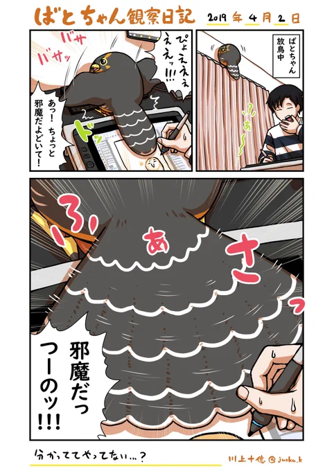 「だらけハヤブサ」の ばとちゃん観察日記 2019/04/02
必殺のしっぽ妨害術 
