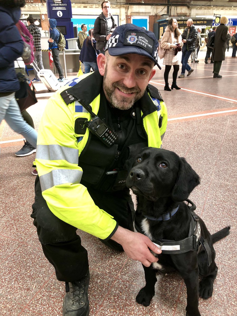 BTPolFed's tweet photo. @BTPDogs Good to see one of our new recruits being put through their paces at Victoria station today. PD Buddy and PC Chris Potter on an expo initial course. Best of luck to them both. #BTPBrilliance #OneBTP https://t.co/VKrL2EkEYg
