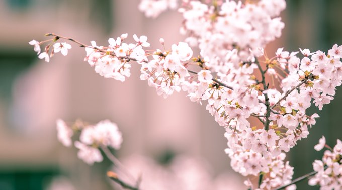 Twitterのコスプレ画像43