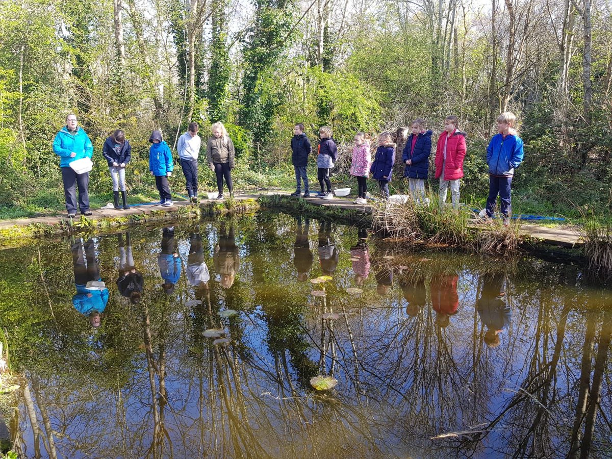 Year 4 Stubbington Trip tweet media