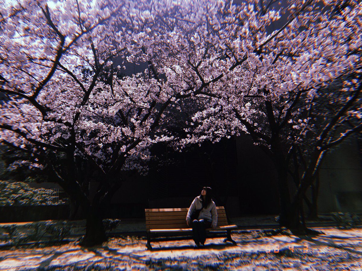 今日は新歓2日目でした👍
4日、5日は駐輪場前で男子ラクロス部合同でお花見やってます🌸
興味ある子はもちろん興味ない子でも大丈夫！ビンゴ大会の景品も豪華だからぜひ一度来てみてね🌟
待ってるよ〜🙌