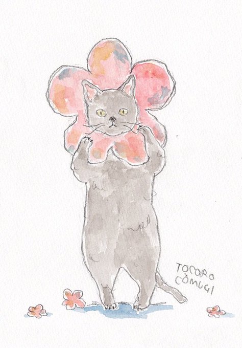 コムギアニマルのtwitterイラスト検索結果 コムギアニマルのtwitterイラスト検索結果
