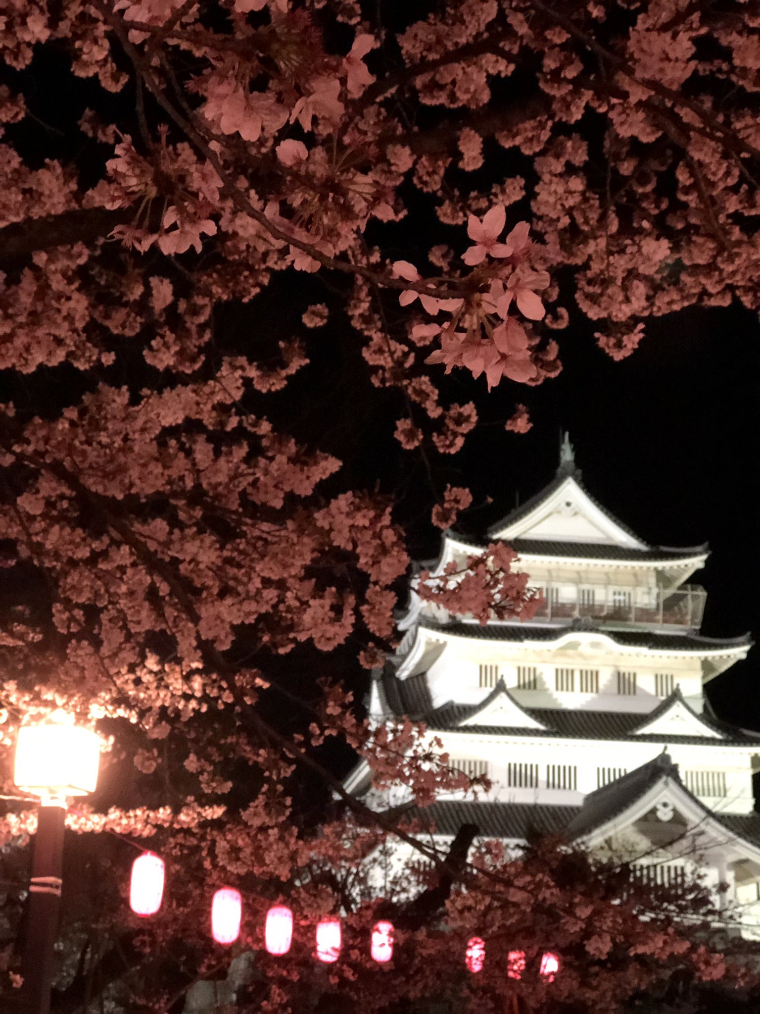 千葉城さくら祭り Twitter Search Twitter