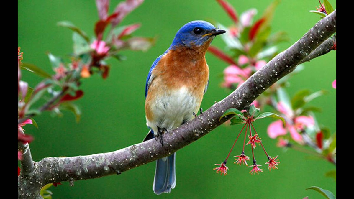 Marissa Devidson tweet media