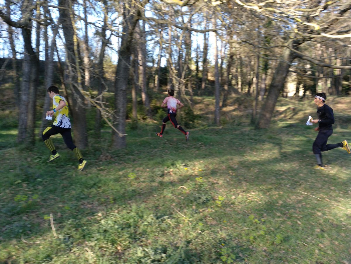 orientacio_cat's tweet photo. Article sobre l'entrenament PreCEO de les seleccions catalanes O-peu 2019 realitzat aquest cap de setmana a Casserres.
https://t.co/iEcBAyzQpN
#selecat https://t.co/lx1G9esVp1