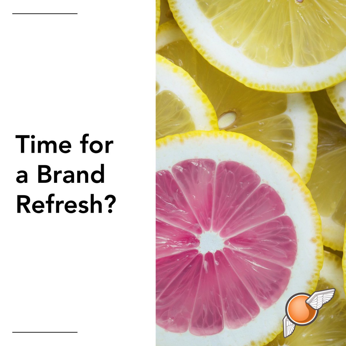 flyingorange's tweet photo. When was the last time you had a brand refresh? Is your #logo outdated and tired looking? How about your #website?

#webdesign #webdesigner  #marketing #smallbiz #smallbusiness #entrepreneur #digitalmarketing #marketingdigital #brand #branding #websitedesign #logodesigner https://t.co/TG1KUyqvlE
