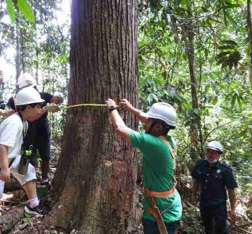 Darrel Webber (@darrelwebb) on Twitter photo Had a great time, facilitating a visit for some children(mine too!) to a sustainably managed rainforest. They learnt a whole lot! It reminded me that sustainable production can be a reality, if we have the will and if the markets respond! <a href="/FSC_IC/">Forest Stewardship Council</a> Had a great time, facilitating a visit for some children(mine too!) to a sustainably managed rainforest. They learnt a whole lot! It reminded me that sustainable production can be a reality, if we have the will and if the markets respond! <a href="/FSC_IC/">Forest Stewardship Council</a>