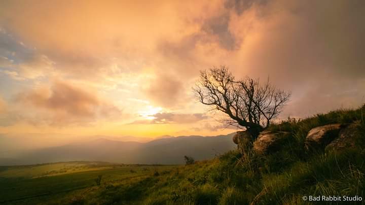 sam_in_zimbabwe's tweet image. Magnificent #Sunset captured in #Chimanimani by #BadRabbitStudio #Zimbabwe
#VisitZimbabwe #BeautifulSunsets #LifeAfter #CycloneIdai